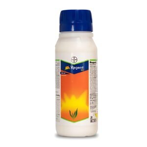 Regent SC Insecticide