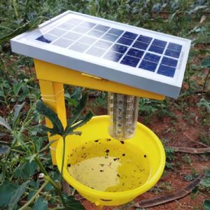 SOLAR LIGHT TRAP