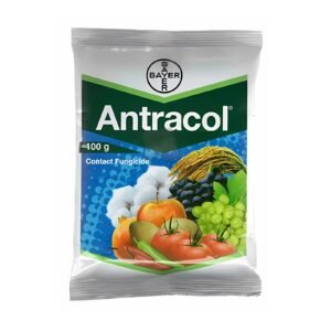 Antracol Fungicide