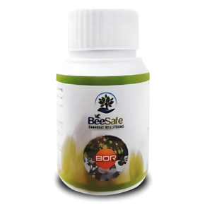 VEDAGNA BOR (GROWTH PROMOTER)